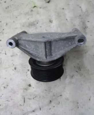 Dacia Sandero Belt tensioner pulley 119231672R