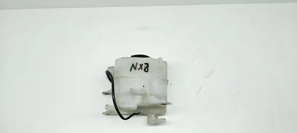 Lexus NX Brake fluid reservoir 