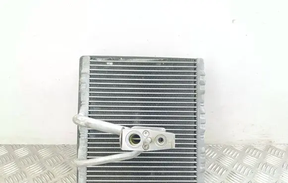 Opel Astra J Air conditioning (A/C) radiator (interior) Z2495002