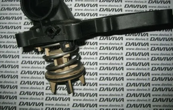 Thermostat/thermostat housing