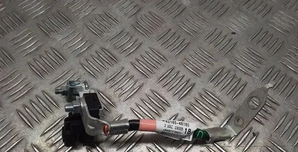 Lexus RX V Negative earth cable (battery) 8216548180