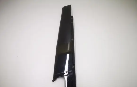 Other rear door trim element
