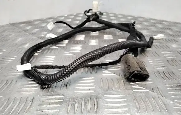 Chevrolet Captiva Tailgate/trunk wiring harness F1025267 398639801 0170