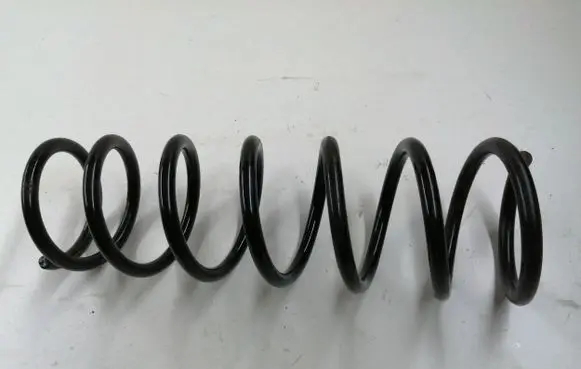 Ford Focus Rear coil spring 07432212