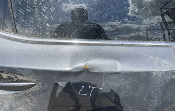Lexus RX 450H Rear door