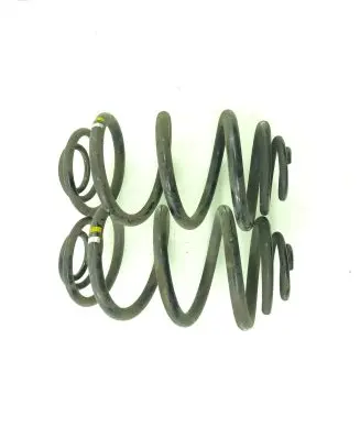 Ford Transit - Tourneo Connect Rear coil spring
