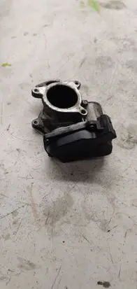 EGR valve