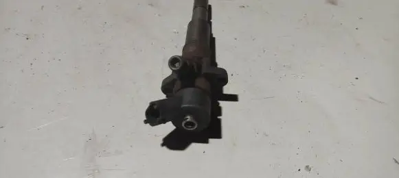 BMW 5 E39 Fuel injector 7785984 0445110047