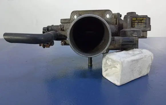 Throttle body valve