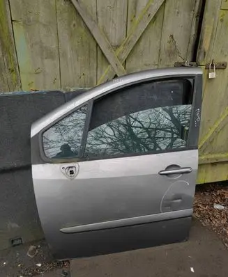 Renault Modus Front door
