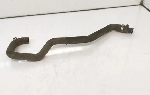 Mercedes-Benz B W245 Engine coolant pipe/hose A1698304196 1320218