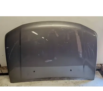 Suzuki Grand Vitara II Engine bonnet/hood