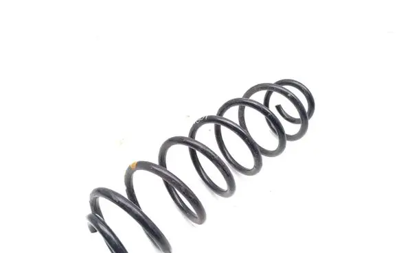 Rear coil spring