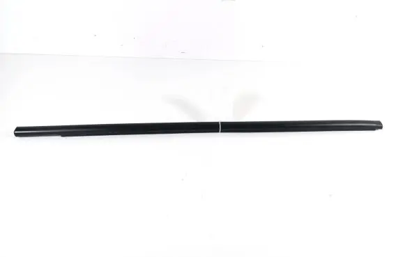 Dacia Spring Front door glass trim molding 