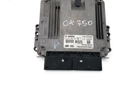 KIA Sportage Engine control unit/module ECU 391152FGG5 0281032639