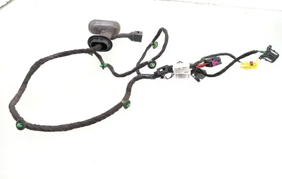 Front door wiring loom