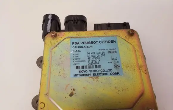 Citroen C3 Power steering control unit/module 9645460880 6900000397 99119503