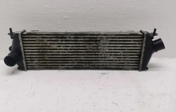 Renault Trafic II (X83) Intercooler radiator