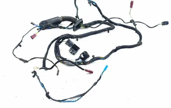 Mini Cooper Countryman R60 Front door wiring loom 9807761 404966C10