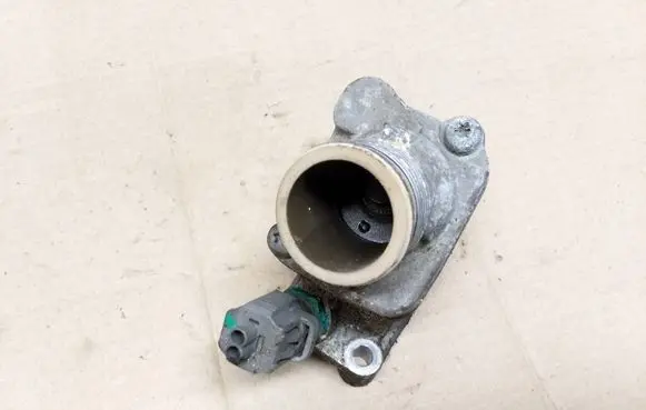 Thermostat/thermostat housing