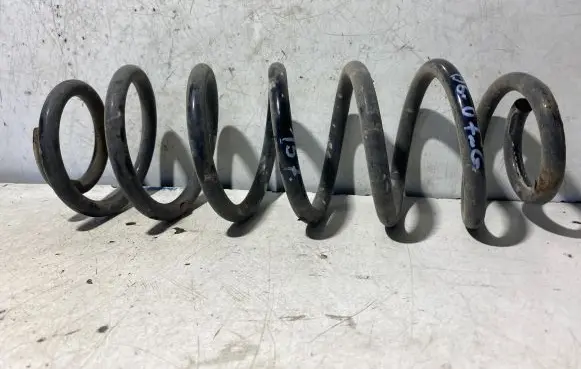 Volkswagen PASSAT B6 Rear coil spring