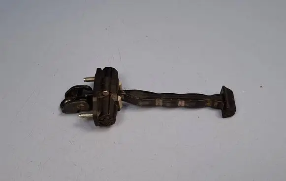 Ford Focus Front door check strap stopper 1714637
