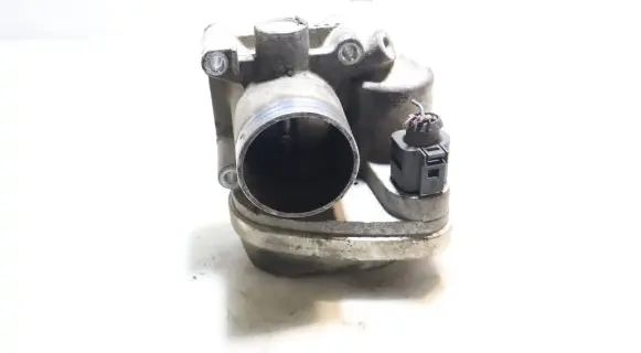 Throttle body valve