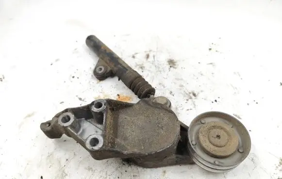 Seat Leon (1M) Generator/alternator belt tensioner 950434