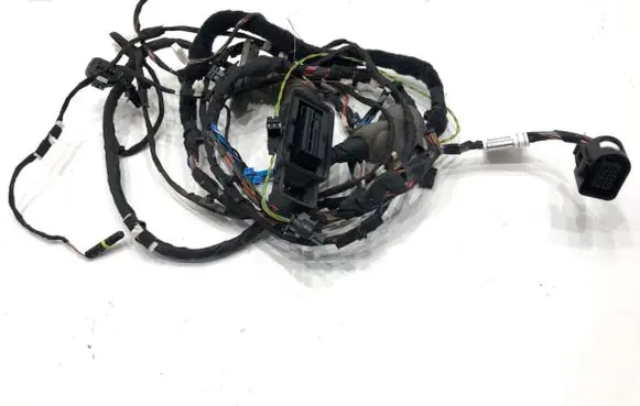 BMW 5 G30 G31 G38 Front door wiring loom 