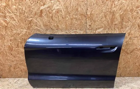 Porsche Taycan 9J1 Front door 9J1831051AYGRV