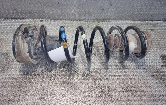 Citroen Berlingo Rear coil spring
