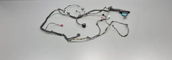 Front door wiring loom