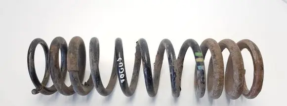 Ford Focus Rear coil spring