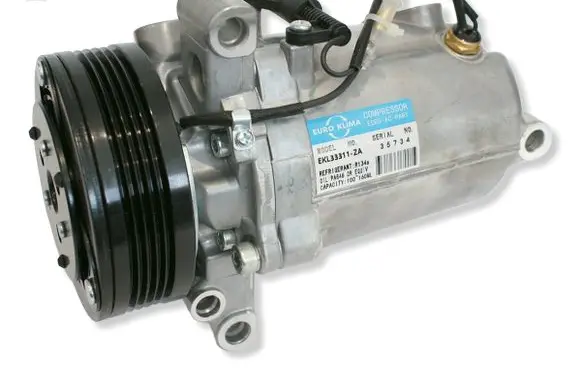 BMW 5 E39 Air conditioning (A/C) compressor (pump) 64528366650 EKL33311ZA 64526901206