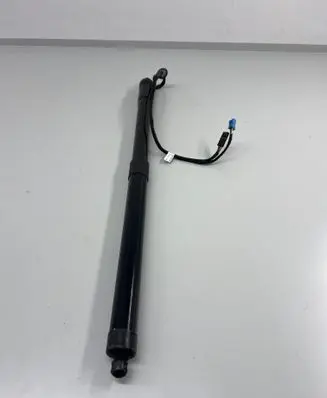 Tailgate/trunk strut/damper