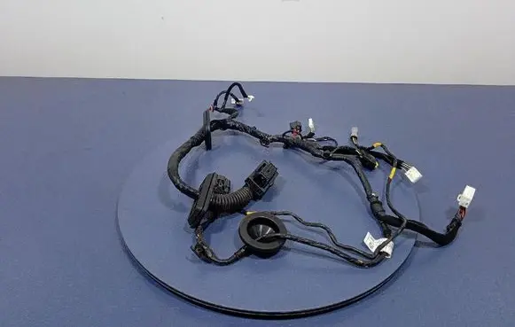 Other wiring loom
