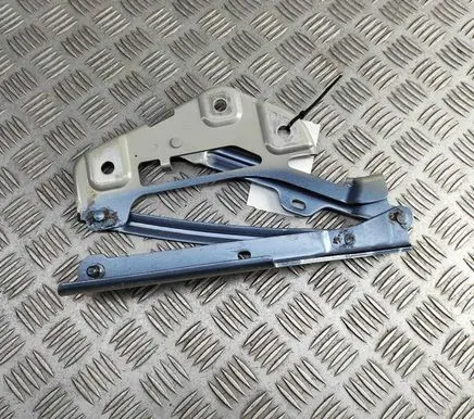BYD Tang II Engine bonnet/hood hinges EKEA8402610A