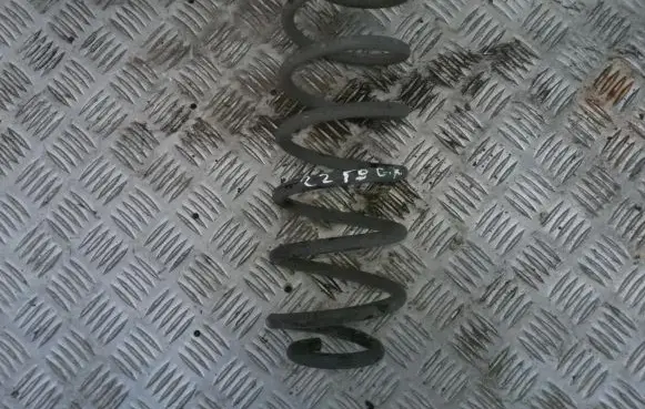Rear coil spring