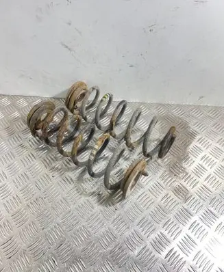 Rear coil spring