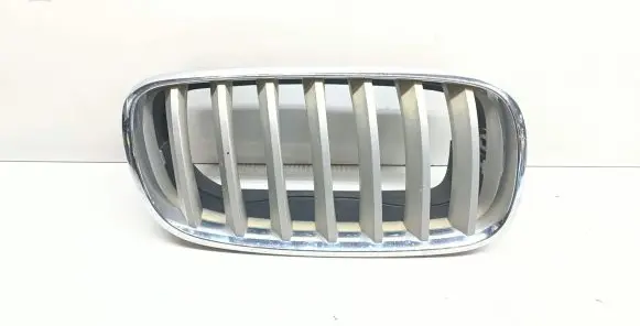 BMW X5 E70 Front bumper upper radiator grill 7171396 51137171396