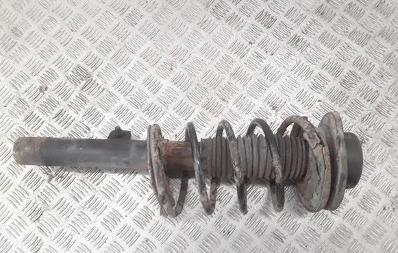 Peugeot 206 Front shock absorber with coil spring