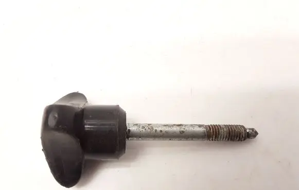 Suzuki Swift I Spare wheel bolt 