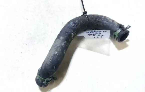 Renault Scenic I Engine coolant pipe/hose