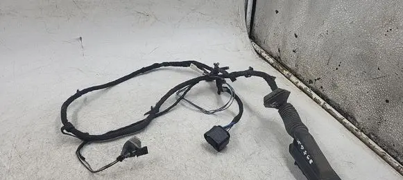 BMW X1 E84 Rear door wiring loom 6925542