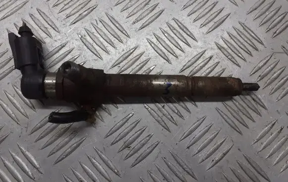 Renault Megane II Fuel injector