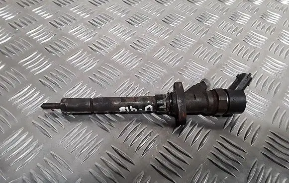 Peugeot 807 Fuel injector 0445110036 9637277980
