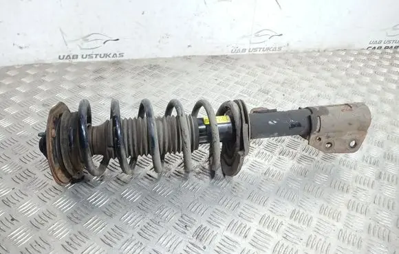 Chevrolet Captiva Front shock absorber/damper 7451286