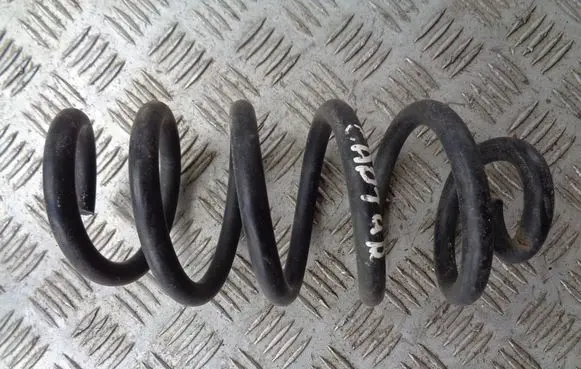 Rear coil spring