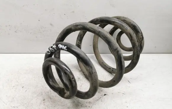 Volkswagen PASSAT B5.5 Rear coil spring