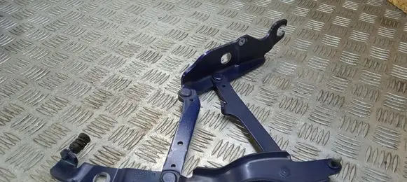 BMW Z4 E89 Engine bonnet/hood hinges 7191511